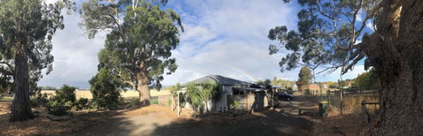 Minni Gums - Accommodation in Brisbane 11
