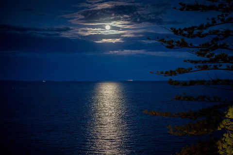 The Sebel Brisbane Margate Beach - Accommodation in Brisbane 31