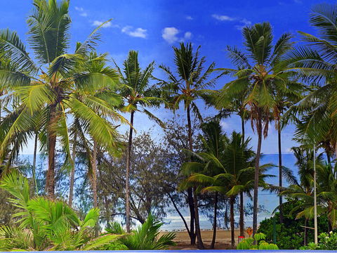 By The Sea Port Douglas - Accommodation in Brisbane 3