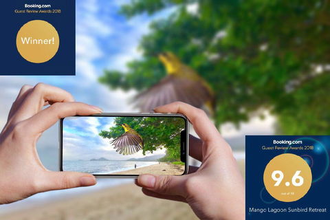 Mango Lagoon Sunbird Retreat - Accommodation in Brisbane 1