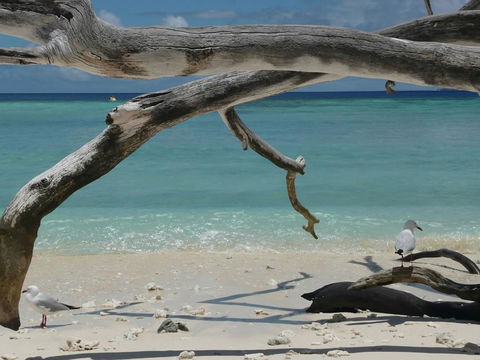 Beach Club Port Douglas Luxury Apartments - Accommodation in Brisbane 23