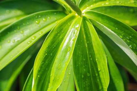 Port Douglas Motel - Accommodation in Brisbane 27