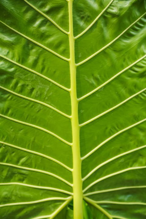 Port Douglas Motel - Accommodation in Brisbane 24