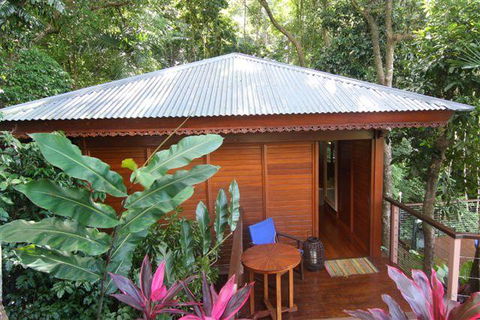 Cairns Rainforest Retreat - Accommodation in Brisbane 5