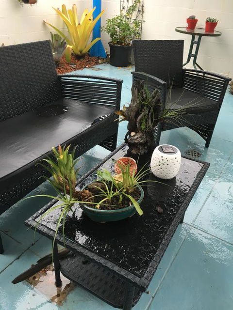Black Marlin Motel - Accommodation in Brisbane 3