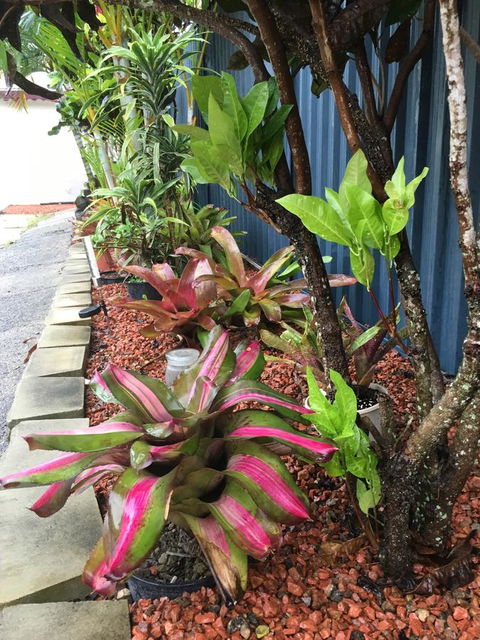 Black Marlin Motel - Accommodation in Brisbane 20