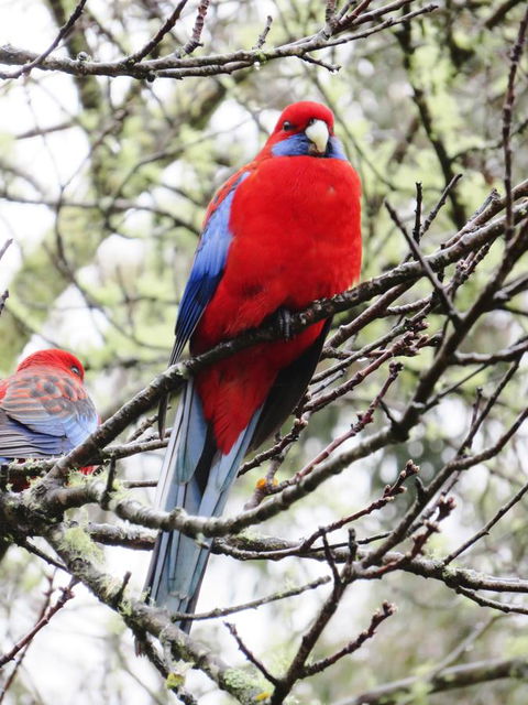 Shasta Place - Accommodation in Brisbane 13