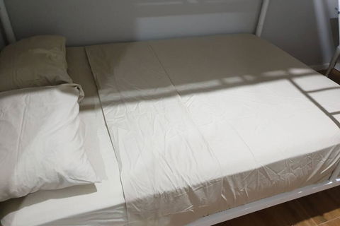Weaver Heaven - Accommodation in Brisbane 3