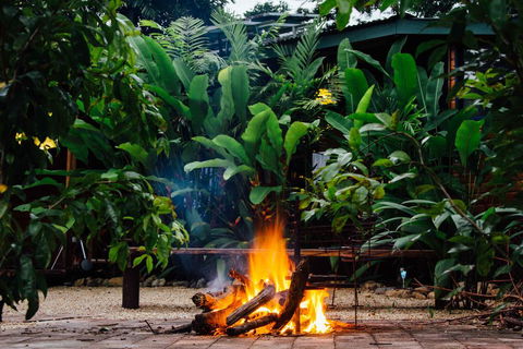 Wildwood - Accommodation in Brisbane 2