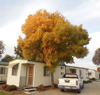 Wodonga Caravan  Cabin Park - Accommodation in Brisbane
