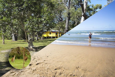 Yellow Cottage - Bush And Beach - Accommodation in Brisbane 0