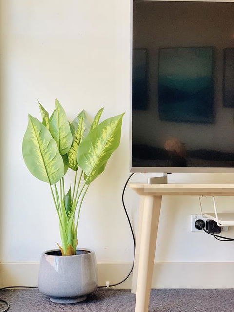 ZEN Homes On Collins - Accommodation in Brisbane 3