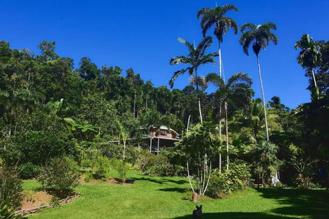 A Daintree Garden - Accommodation in Brisbane 0