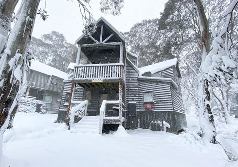 Absinthe - Accommodation in Brisbane 4