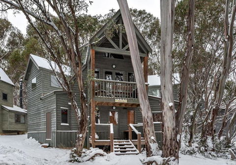 Absinthe - Accommodation in Brisbane 0