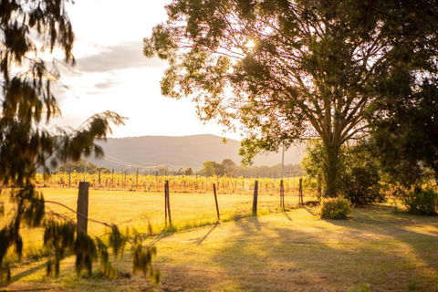 Among The Vines - Accommodation in Brisbane 2