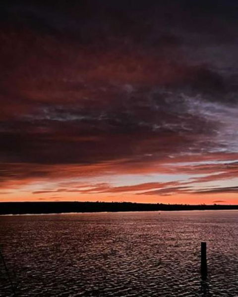 Ark-imedes - Unique Float Home On The Murray River - Accommodation in Brisbane 4