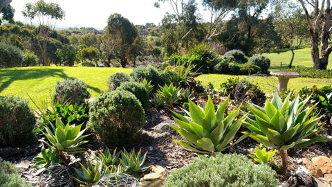 Austiny Bed And Breakfast Victor Harbor - Accommodation in Brisbane 2