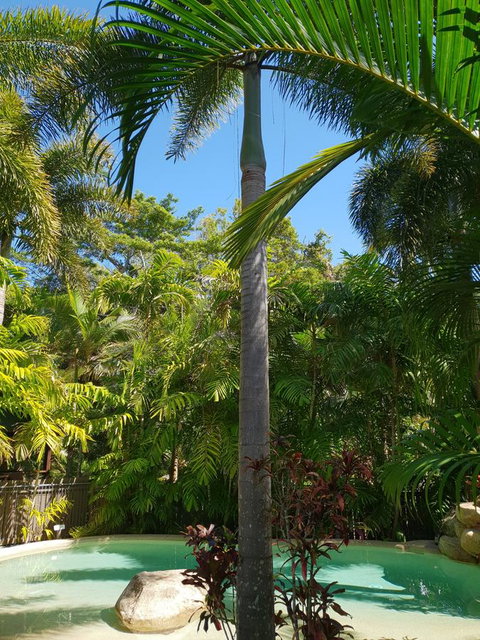 Cassawong Cottages - Accommodation in Brisbane 16