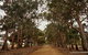 Hanson Bay Cabins - thumb 21
