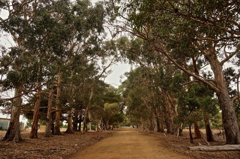 Hanson Bay Cabins - Accommodation in Brisbane 21