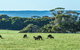 Hanson Bay Cabins - thumb 23