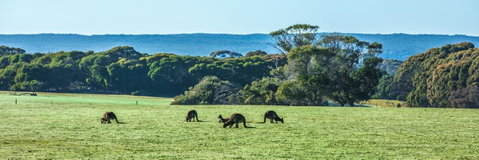 Hanson Bay Cabins - Accommodation in Brisbane 23