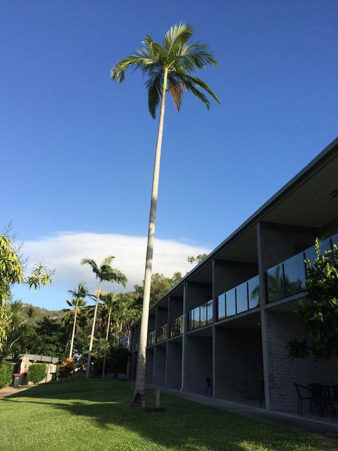 Arcadia Village Motel - Accommodation in Brisbane 36