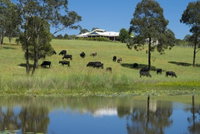 Book Nabiac Accommodation Vacations Accommodation in Brisbane Accommodation in Brisbane