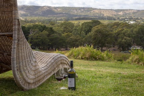 131 Your Vineyard Home In The Heart Of The Vale - Accommodation in Brisbane 0