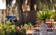 Burwood Bed And Breakfast - thumb 3