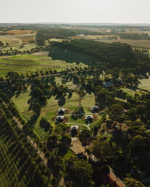 CANVS By CABN Seppeltsfield Barossa - Accommodation in Brisbane 1