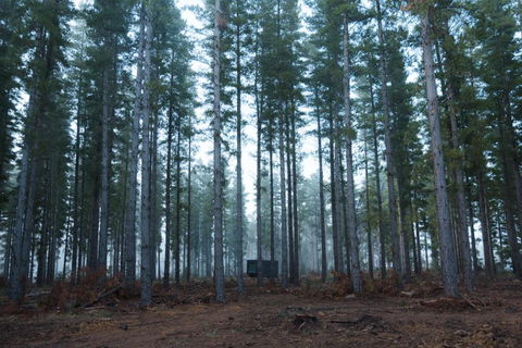 CABN Kuitpo Forest - Accommodation in Brisbane 2