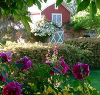 A Country Barn Retreat - Accommodation in Brisbane