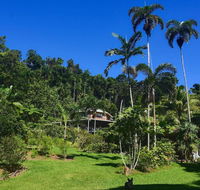 A Daintree Garden - Accommodation in Brisbane