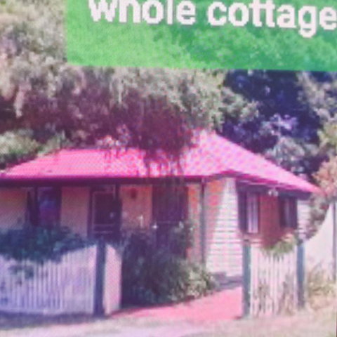 Abelia Cottages Botanical - Accommodation in Brisbane 3