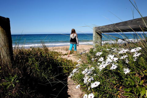 Absolute Beachfront Mollymook - Accommodation in Brisbane 3