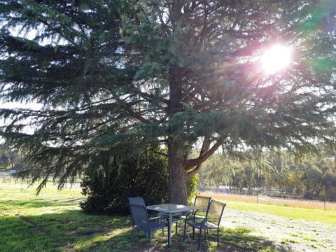 Indigo Vineyard Farmstay - Accommodation in Brisbane 2