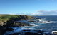 Adrift At Ventnor On Phillip Island, Pets - thumb 1