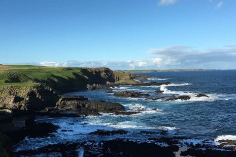 Adrift At Ventnor On Phillip Island, Pets - Accommodation in Brisbane 1