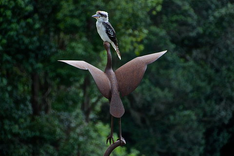 Afterglow Cottages - Accommodation in Brisbane 2