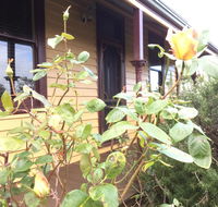 Albion Cottage - Accommodation in Brisbane