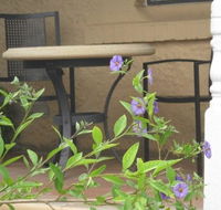 Amalie Cottage Waikerie - Accommodation in Brisbane