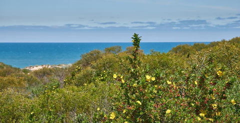 API Preston Beach Front Apartments - Accommodation in Brisbane 2