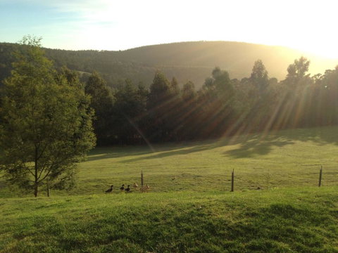 Arjuna Ridge Bed And Breakfast - Accommodation in Brisbane 0