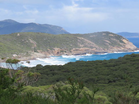 Arnold House - Accommodation in Brisbane 1