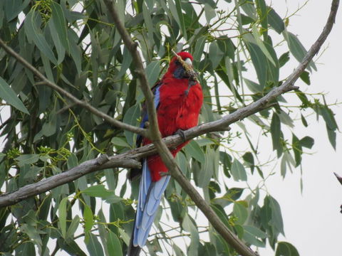 Arnold House - Accommodation in Brisbane 2