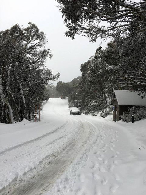 MAGNIFICENT SKIING ON MOUNT BULLER - Accommodation in Brisbane 3