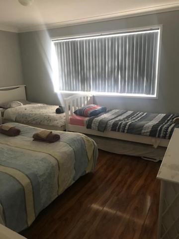 Mystic Blue And Green Meadow - Accommodation in Brisbane 3