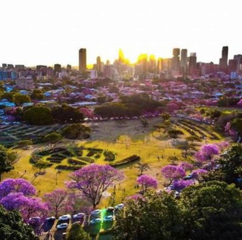 Perfect Haven In Spring Hill 2B1B And Parking - Accommodation in Brisbane 2